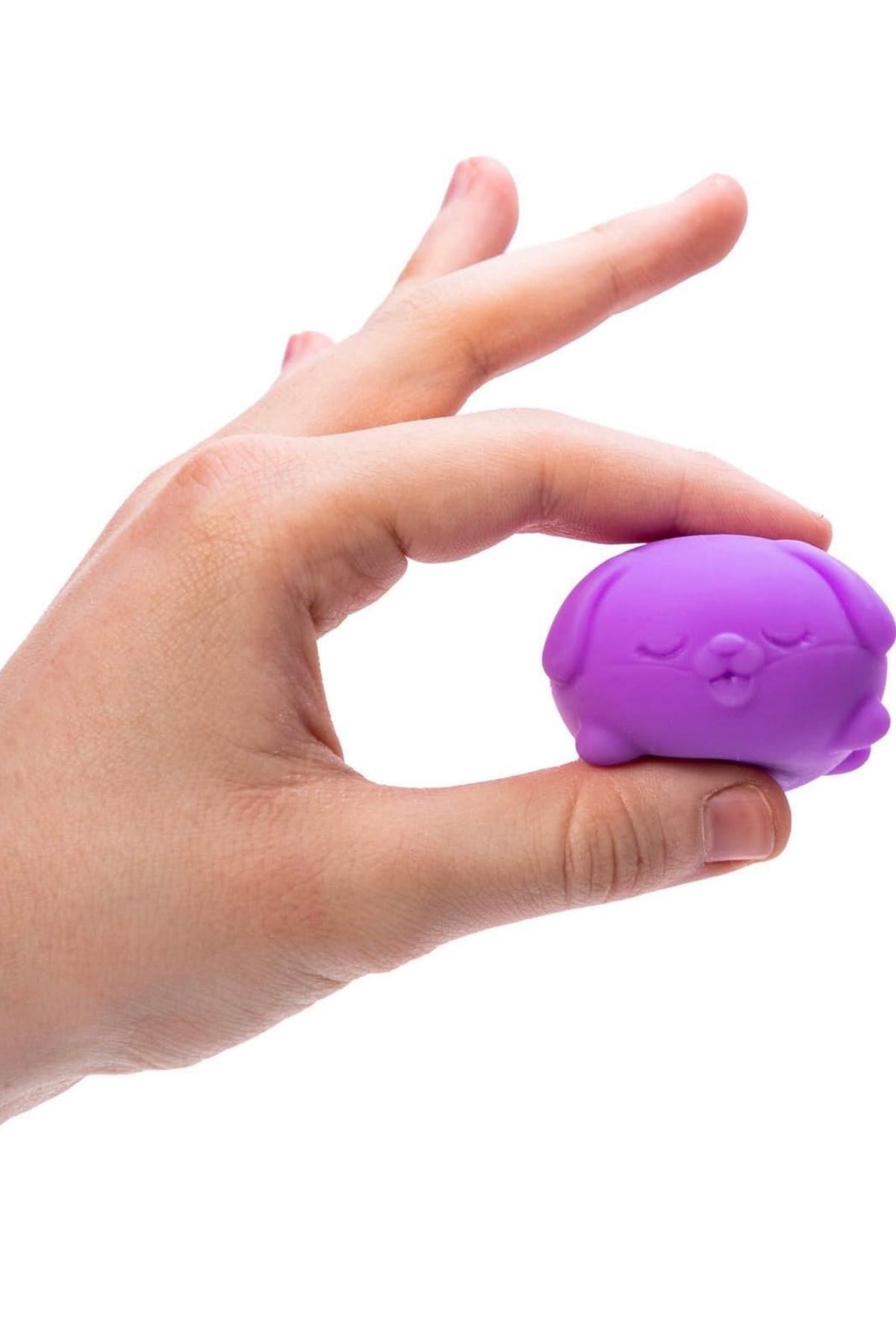 NeeDoh Teenie Funky Pups- 3pk (Colors May Vary)